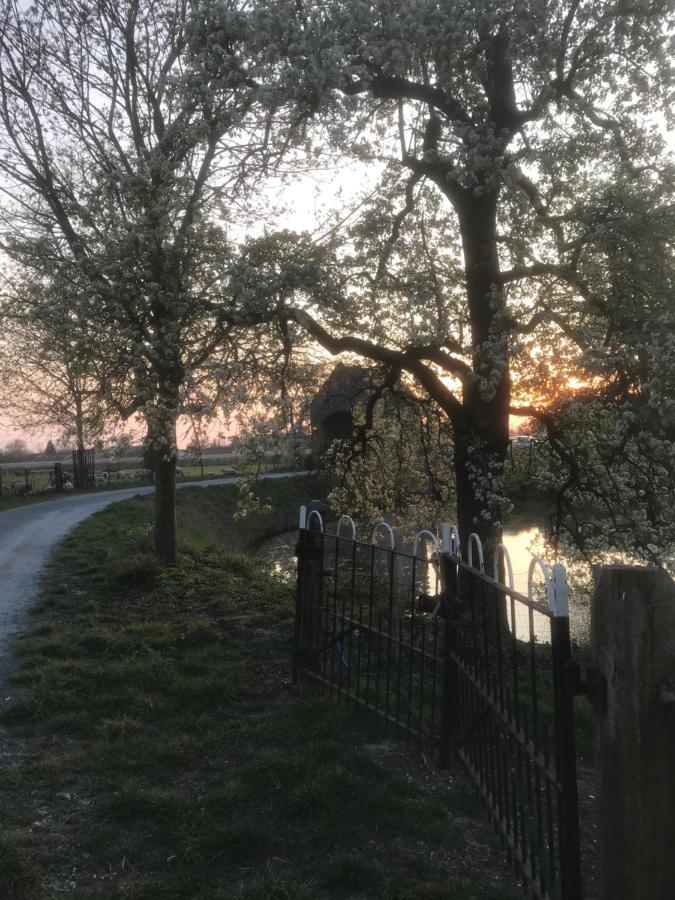 Kasteel Landgoed Crayenstein B&B Tricht Esterno foto