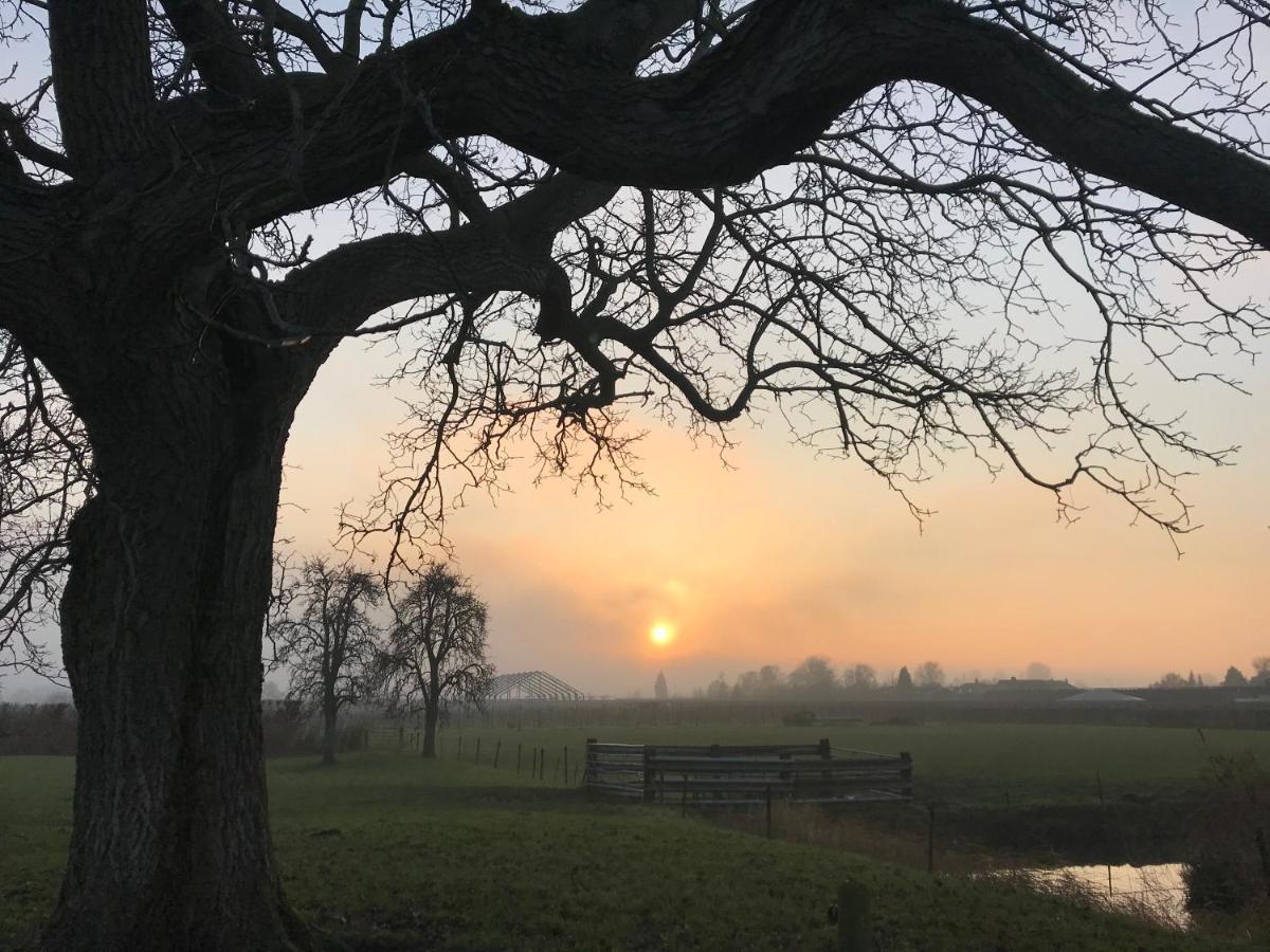 Kasteel Landgoed Crayenstein B&B Tricht Esterno foto